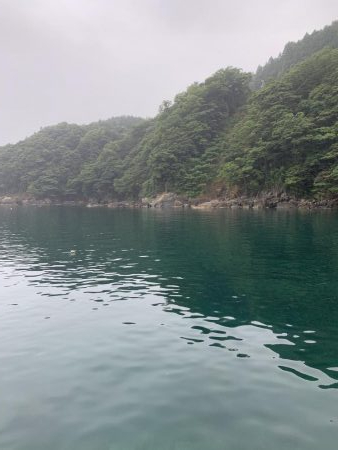 雨の中、たった１匹