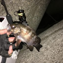 荒れた日は高活性なライトゲーム