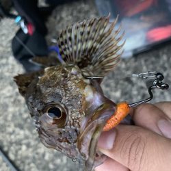 ライトロック〜