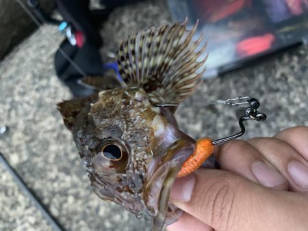 ライトロック〜