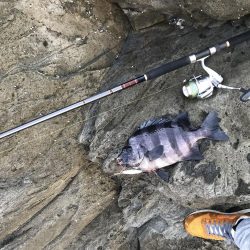 腕がパンパンなんやでぇ…(´ー`;)