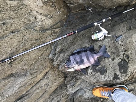 腕がパンパンなんやでぇ…(´ー`;)