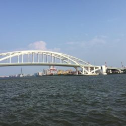 出だしは良かったものの