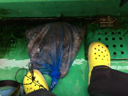 東二見   住吉丸釣果