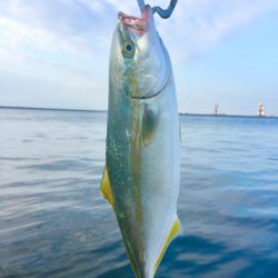 何投げても釣れる