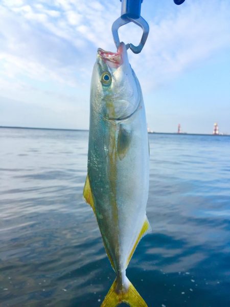 何投げても釣れる
