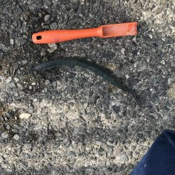 バラエティセット