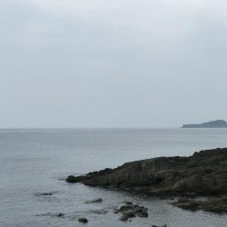 磯場でキジハタ