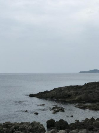 磯場でキジハタ