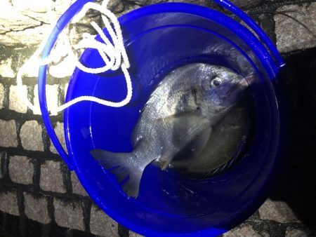 雨上がりのチニング