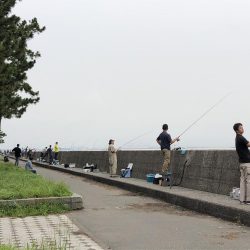 すっげぇ人の数です