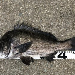 イチノ兄弟、釣果!