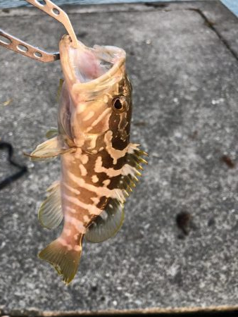 あっちぃーー！