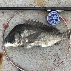 ブンブンスライダー