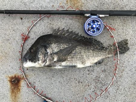 ブンブンスライダー