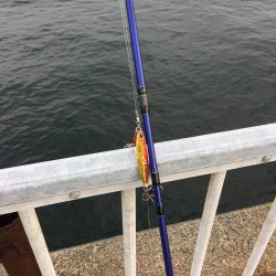 青物狙いのライトショアジギング