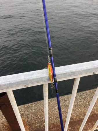 青物狙いのライトショアジギング