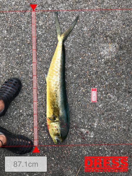 神戸ランガン7月24日