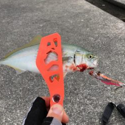 ポーアイ沖堤防LSJ