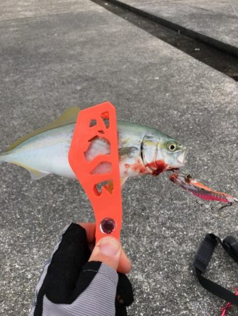 ポーアイ沖堤防LSJ