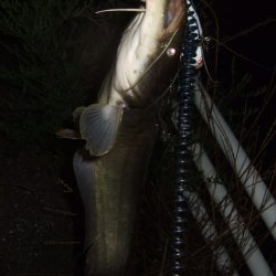 梅雨の合間に開拓