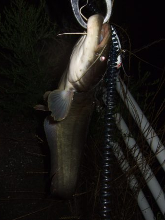 梅雨の合間に開拓