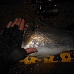 ランカーが暴走!!