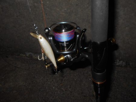 ダツがヒット…。