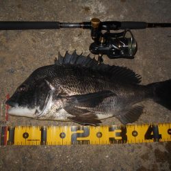 なんという破壊力…。