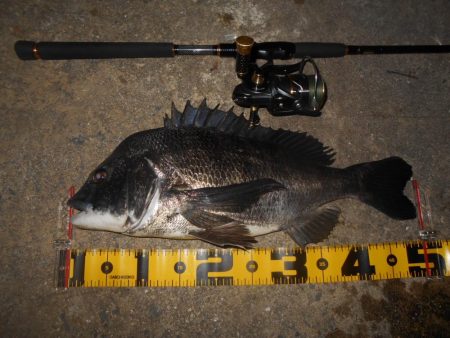 なんという破壊力…。