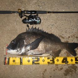 テトラ際で当たる当たる♪