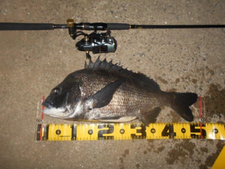 テトラ際で当たる当たる♪