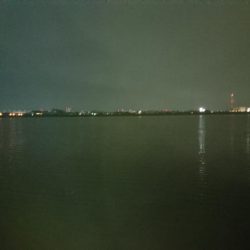 キビレ小さくなった?