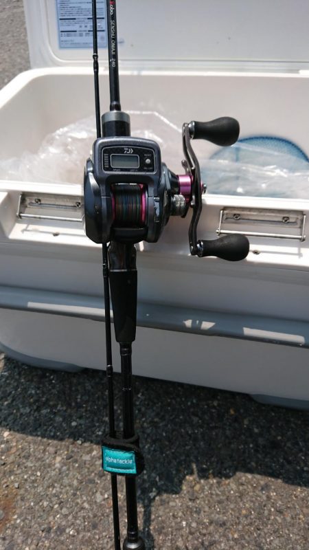 泉州丸で五目釣り