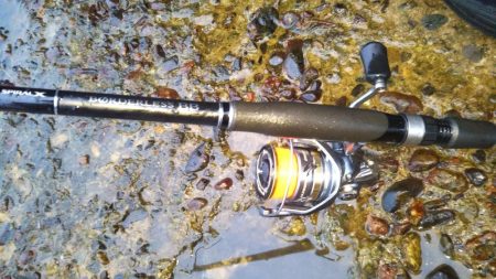 チヌ狙いアジ釣り。