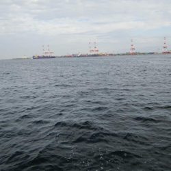 のませ釣りでツバス