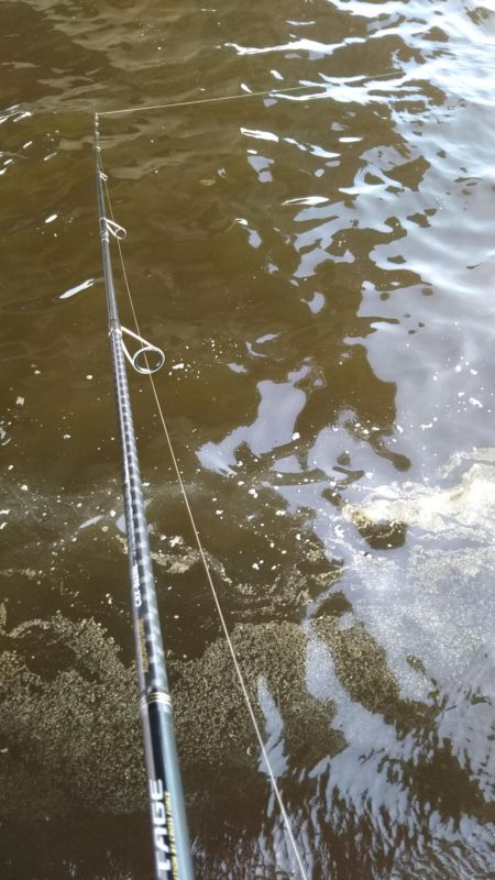 デイゲーム湾奥調査