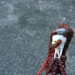 久々によく釣れた