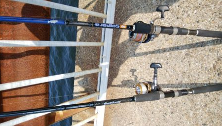 久々によく釣れた