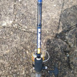 久々によく釣れたけど小さい