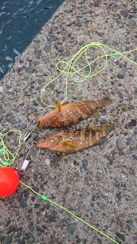 初場所でうまいやつ