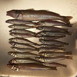 ビッグキス！！