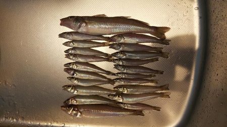 ビッグキス！！