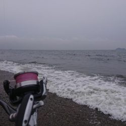 梅雨の晴れ間に