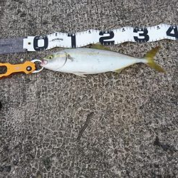 トップゲーム開幕