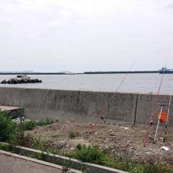 久々の和歌山釣行、キス釣り