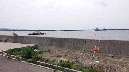 久々の和歌山釣行、キス釣り