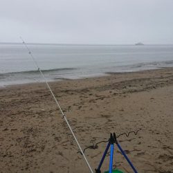 良型のキスを求めて