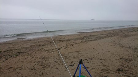 良型のキスを求めて