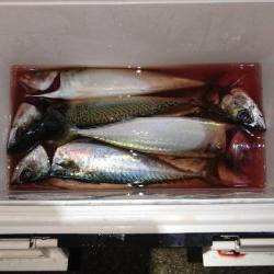 久しぶりのサバゲー